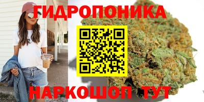 ECSTASY Конаково