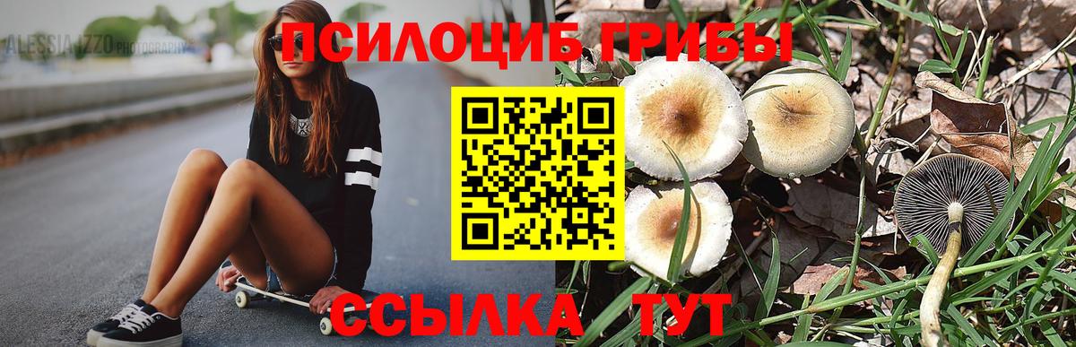 Псилоцибиновые грибы Cubensis  Галлюциногенные грибы Magic Shrooms  Вход с VPN  Красноярск 